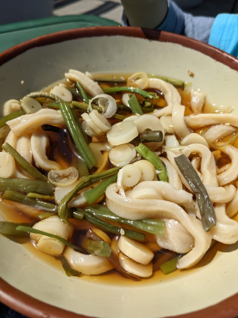 かるかや山菜うどんの冷